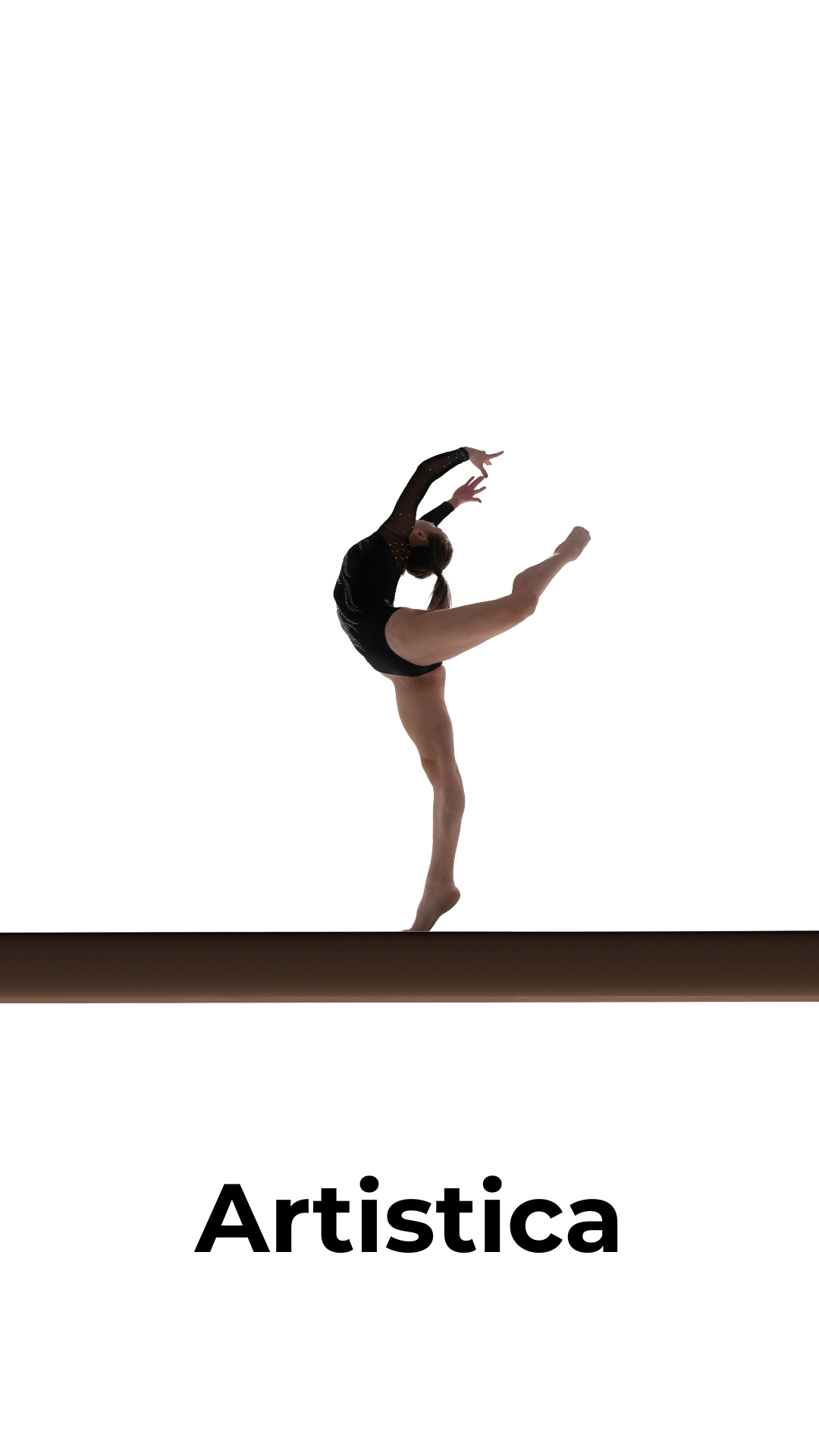 Ginnastica Artistica